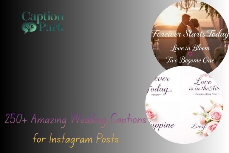 250+ Amazing Wedding Captions for Instagram Posts